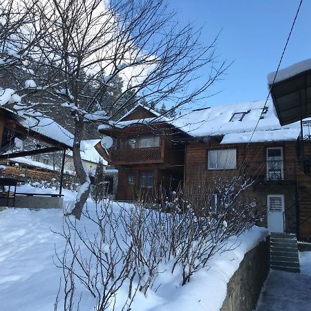 Під Лісом У Гіда Villa Jaremtsje Eksteriør bilde