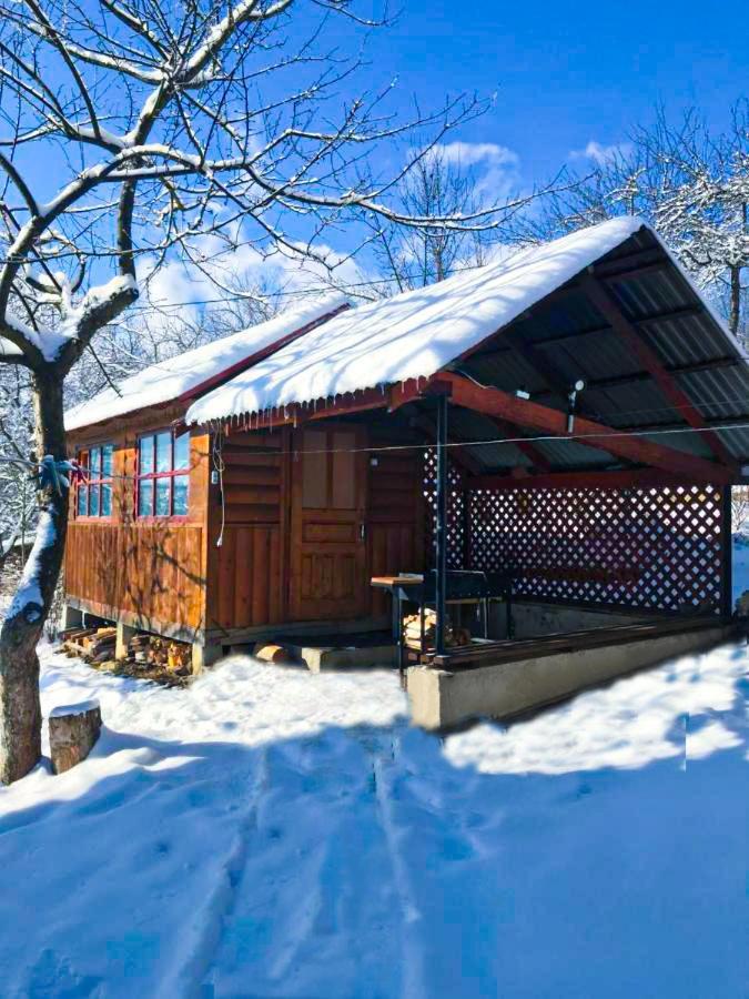 Під Лісом У Гіда Villa Jaremtsje Eksteriør bilde